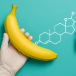 Testosterona Tamaño Pene: ¿Realmente Aumenta su Medida?